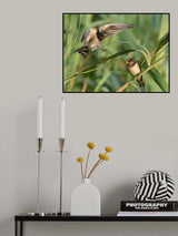Interaction Poster och Canvastavla