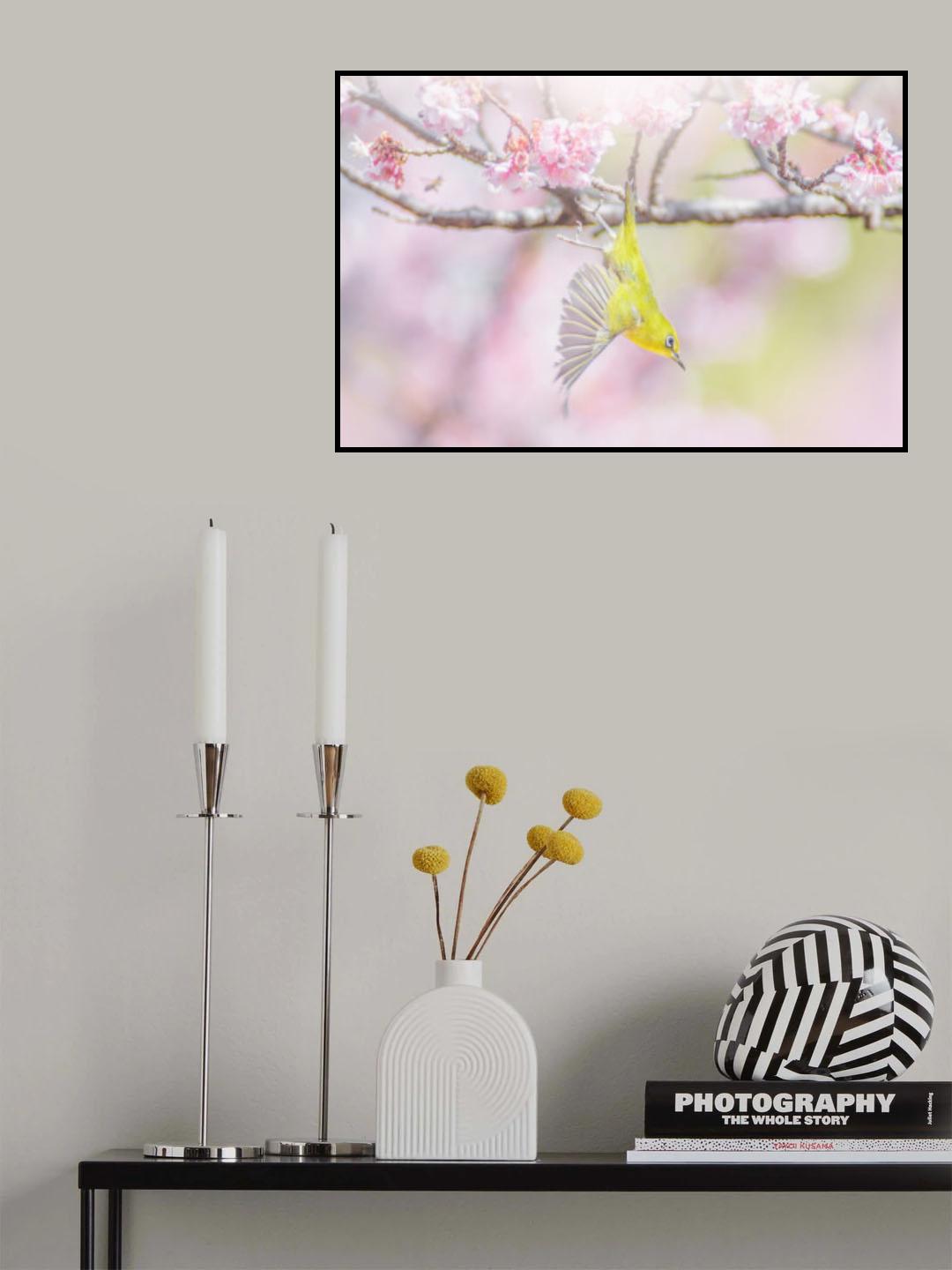 Flying white eye Poster och Canvastavla