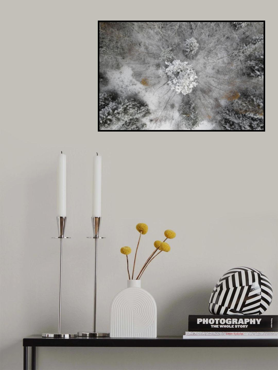 Trees under snow Poster och Canvastavla