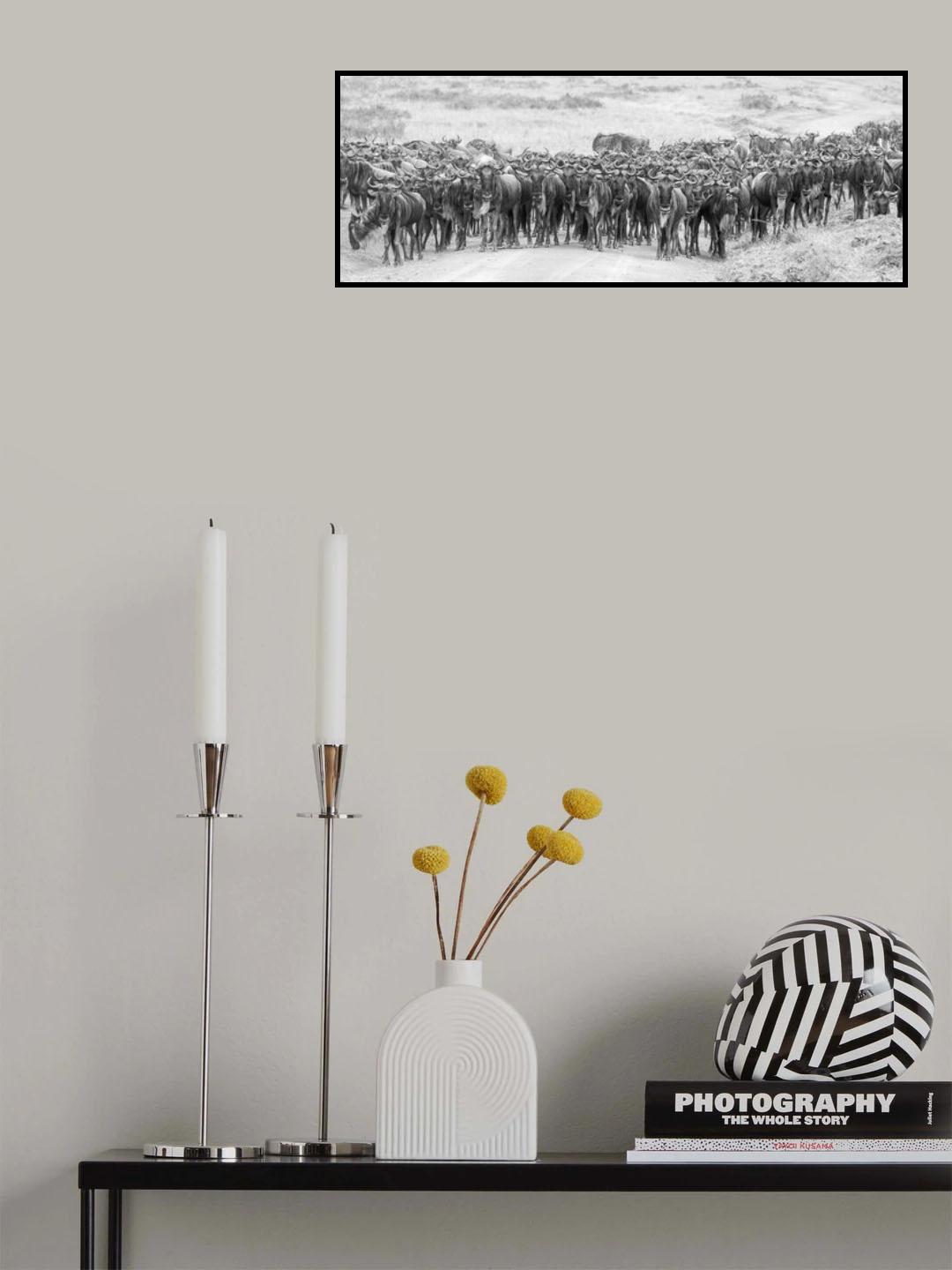 Wildebeests Poster och Canvastavla