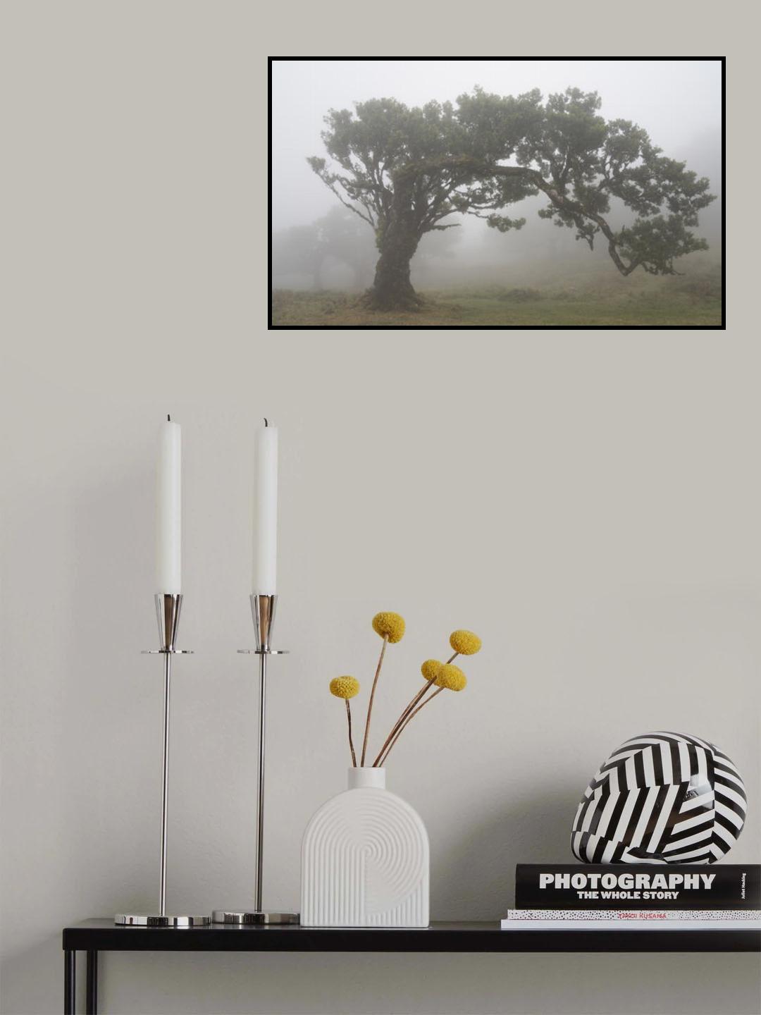 Tree in the mist Poster och Canvastavla