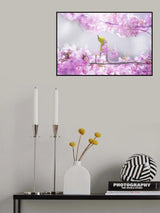 Zosterops japonicus Poster och Canvastavla
