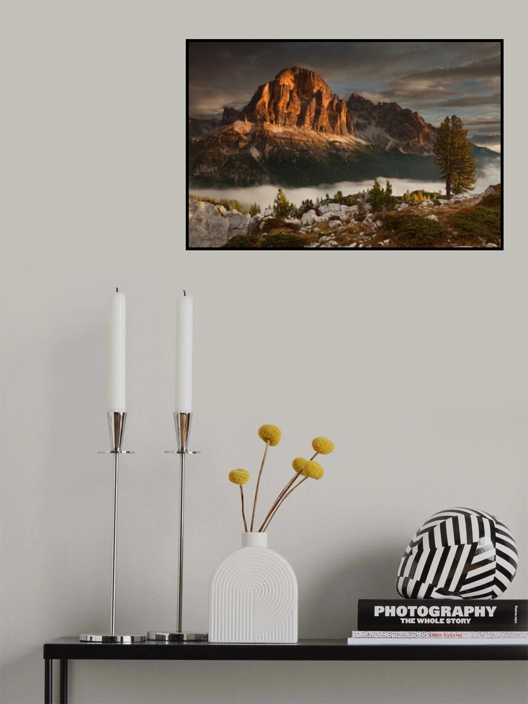Tofana de Rozes Poster och Canvastavla
