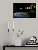 Abandoned Poster och Canvastavla
