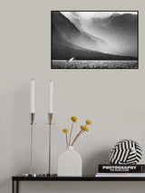 Poster och Canvastavla