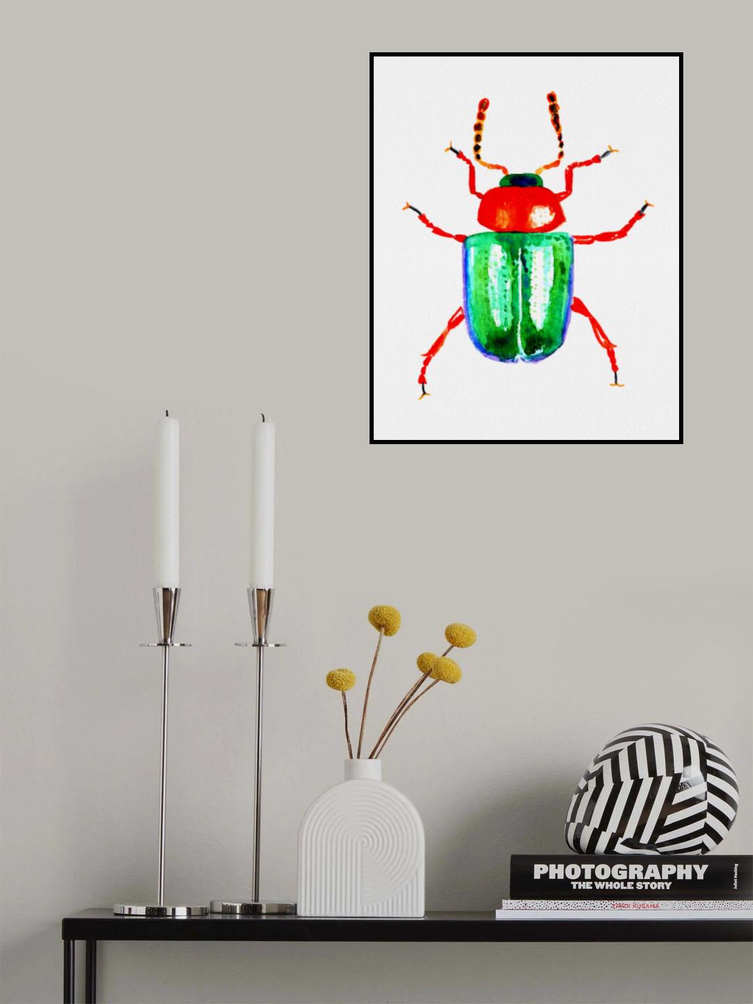 Knotweed beetle or Gastrophysa polygoni Poster och Canvastavla