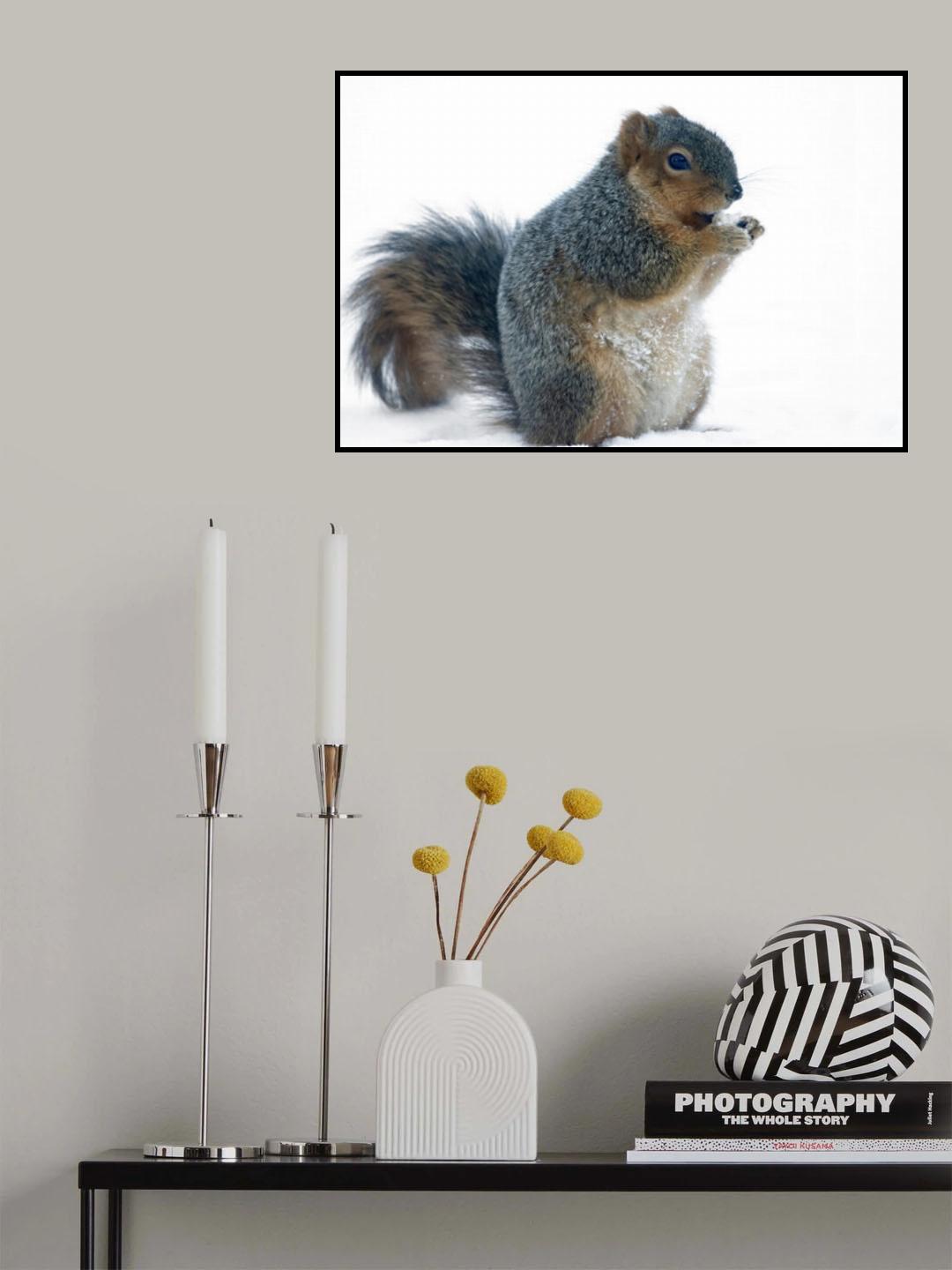Squirrel Poster och Canvastavla
