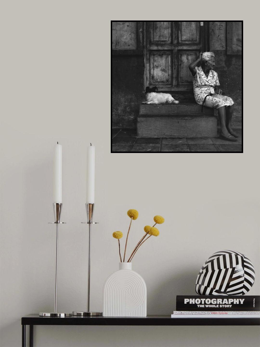 Indifference Poster och Canvastavla