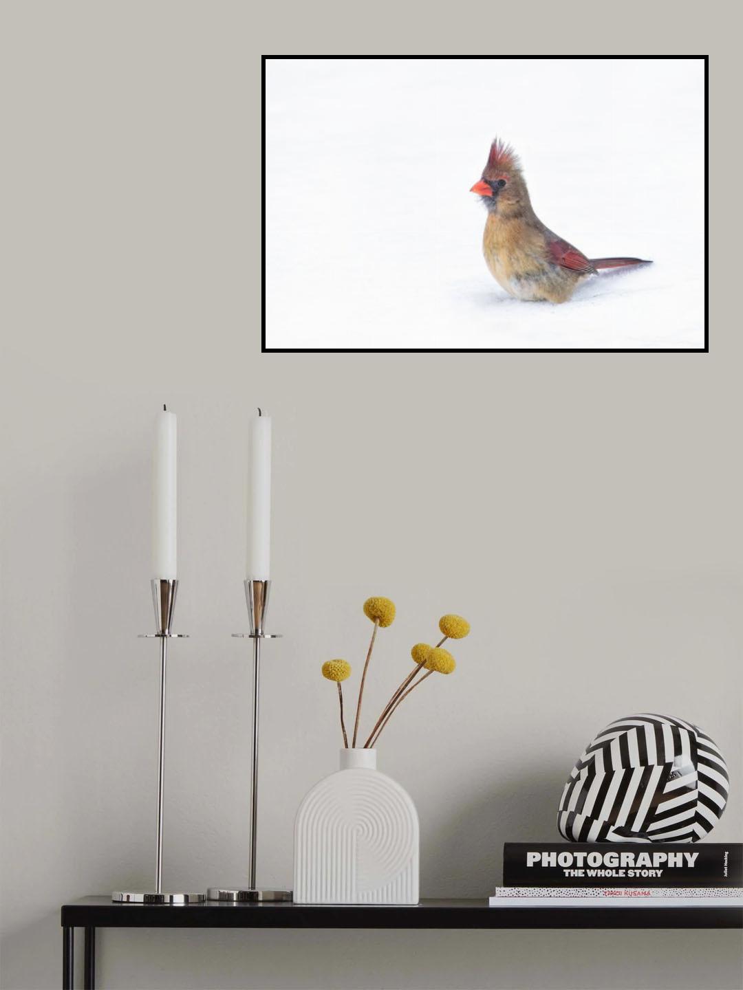 Crested Songbird Poster och Canvastavla