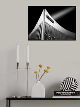 Library Poster och Canvastavla