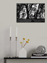 Sidewalking Poster och Canvastavla