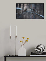 Dancing Wings Poster och Canvastavla