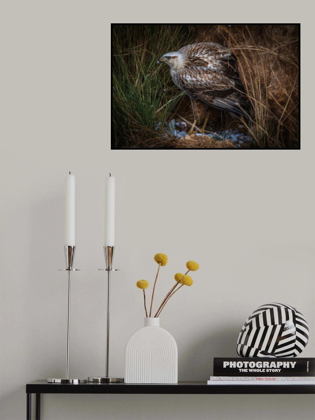 Long-legged buzzard and his prey Poster och Canvastavla