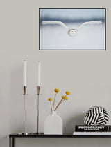 Close to the lens Poster och Canvastavla