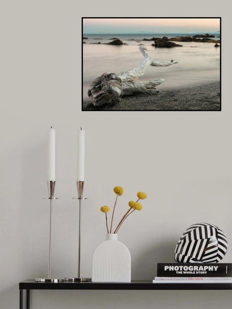 Treefish carcass Poster och Canvastavla