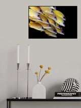 Fish Poster och Canvastavla