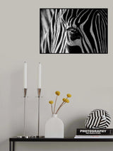 Abstract Zebra Poster och Canvastavla