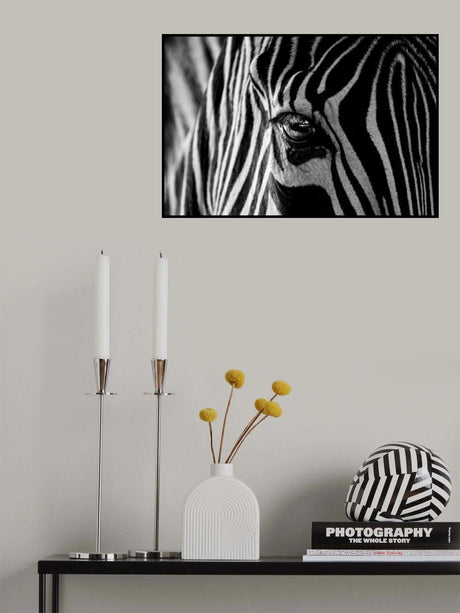 Abstract Zebra Poster och Canvastavla