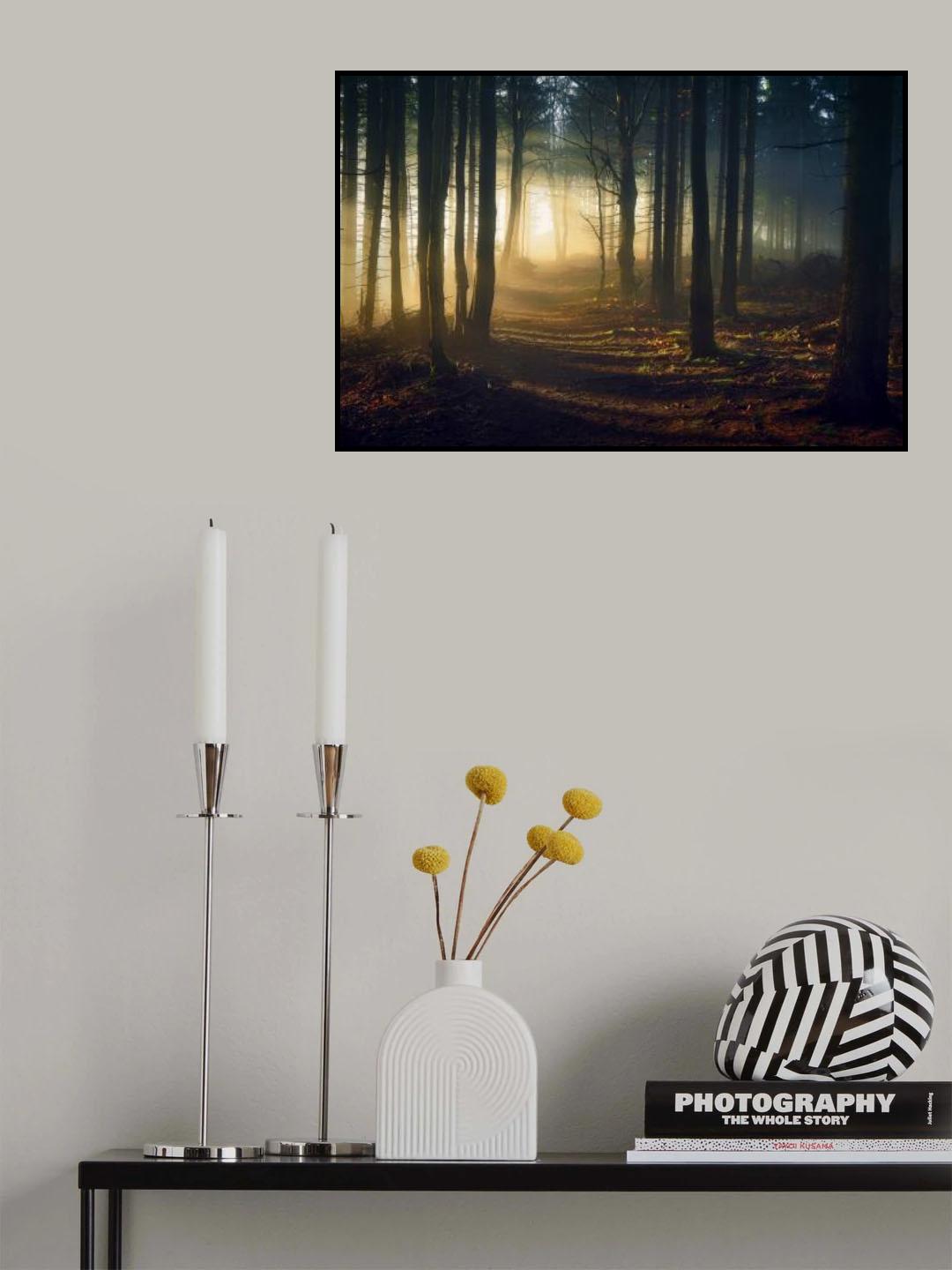 The path of light Poster och Canvastavla