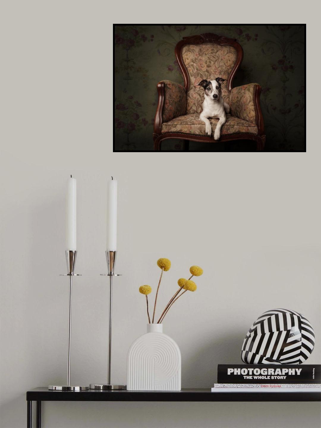 Lady Molly Poster och Canvastavla