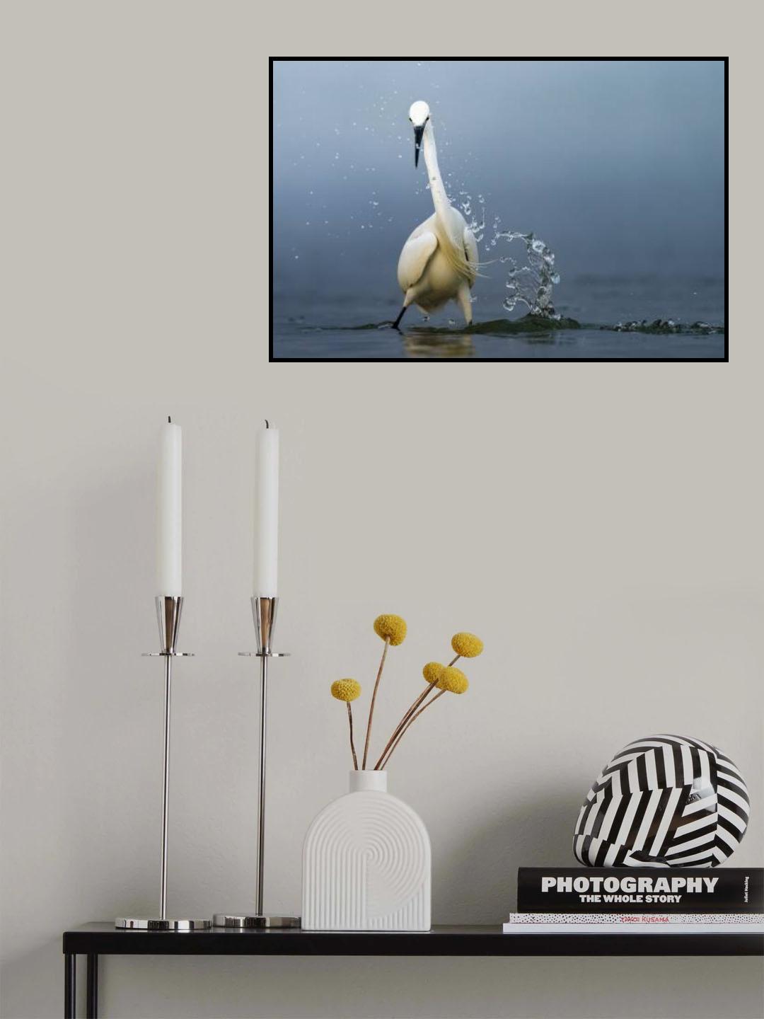 Splash Poster och Canvastavla