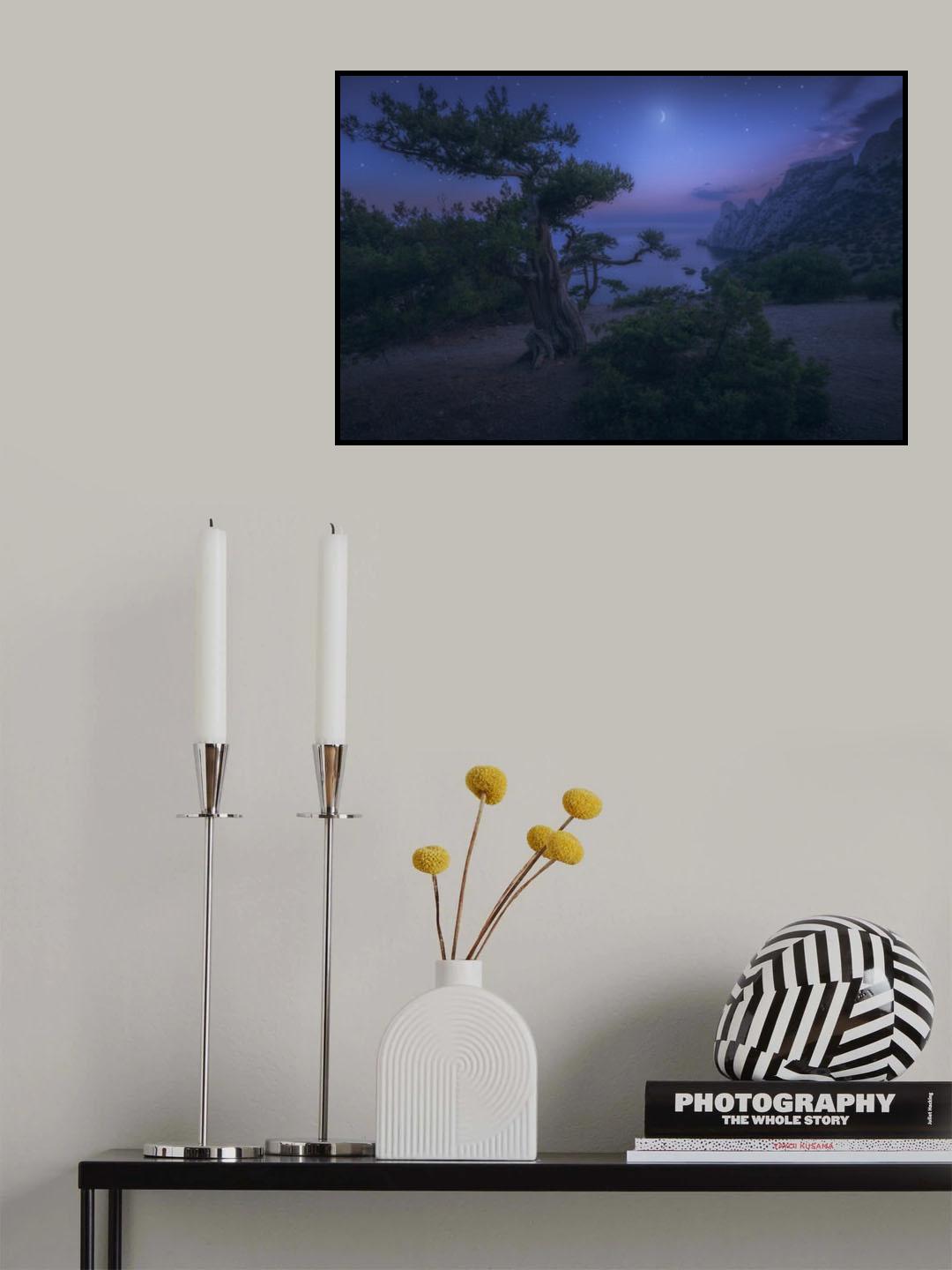 Moon Night Poster och Canvastavla
