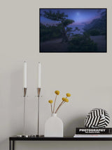Moon Night Poster och Canvastavla