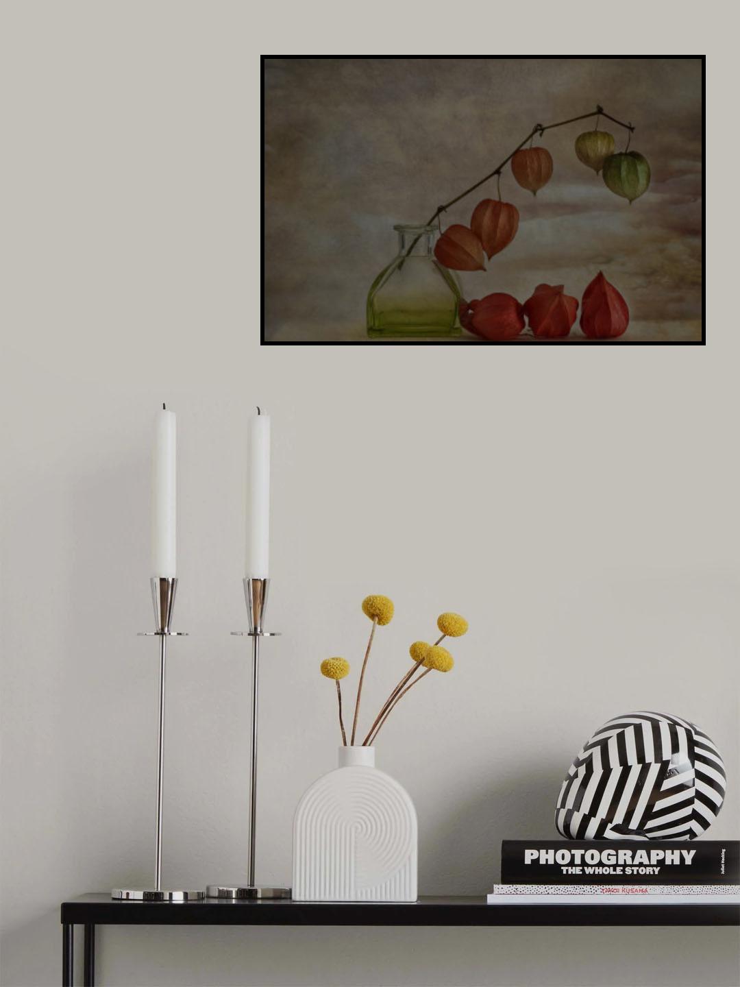Lampions Poster och Canvastavla