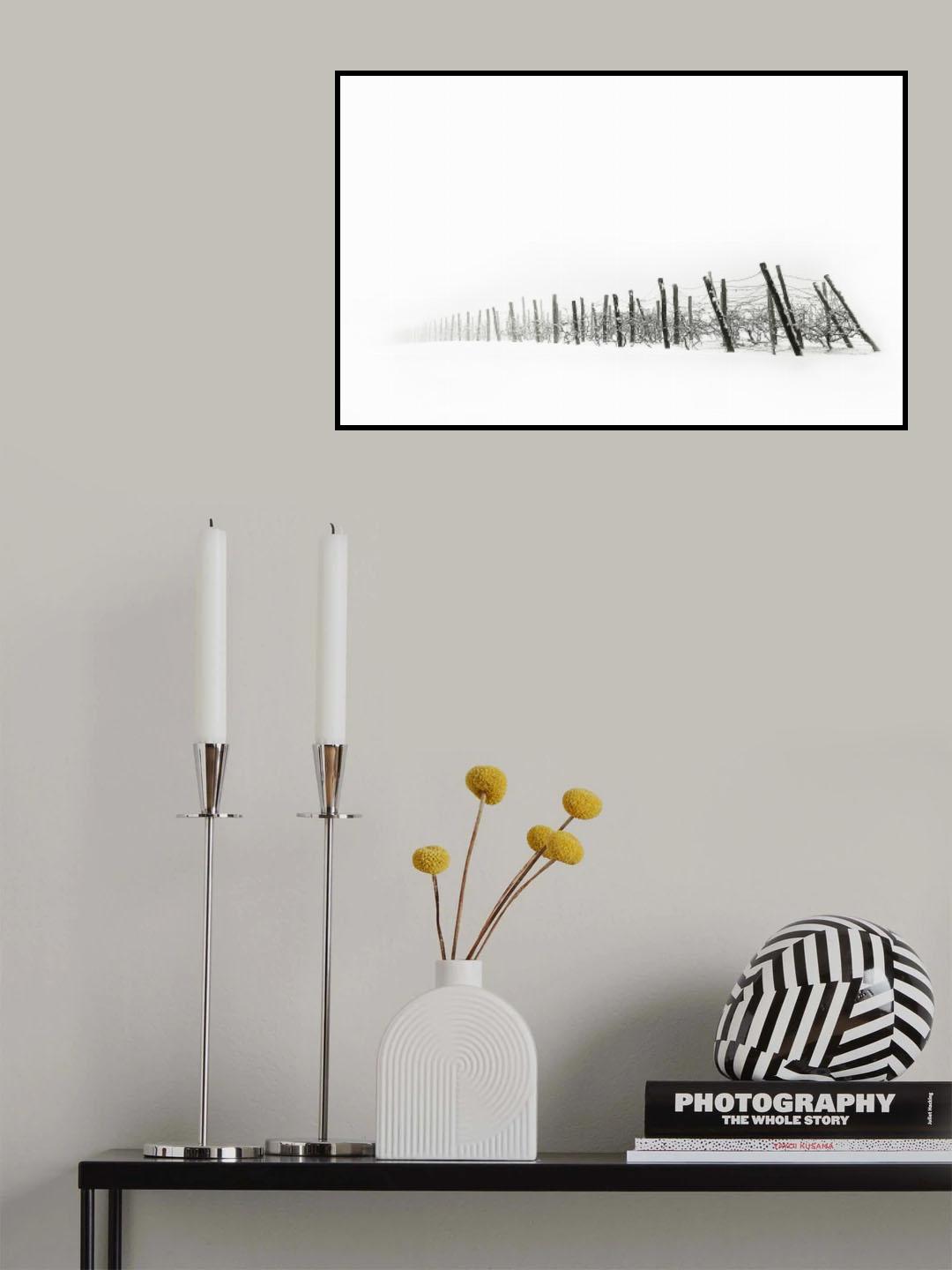 Vineyard Poster och Canvastavla