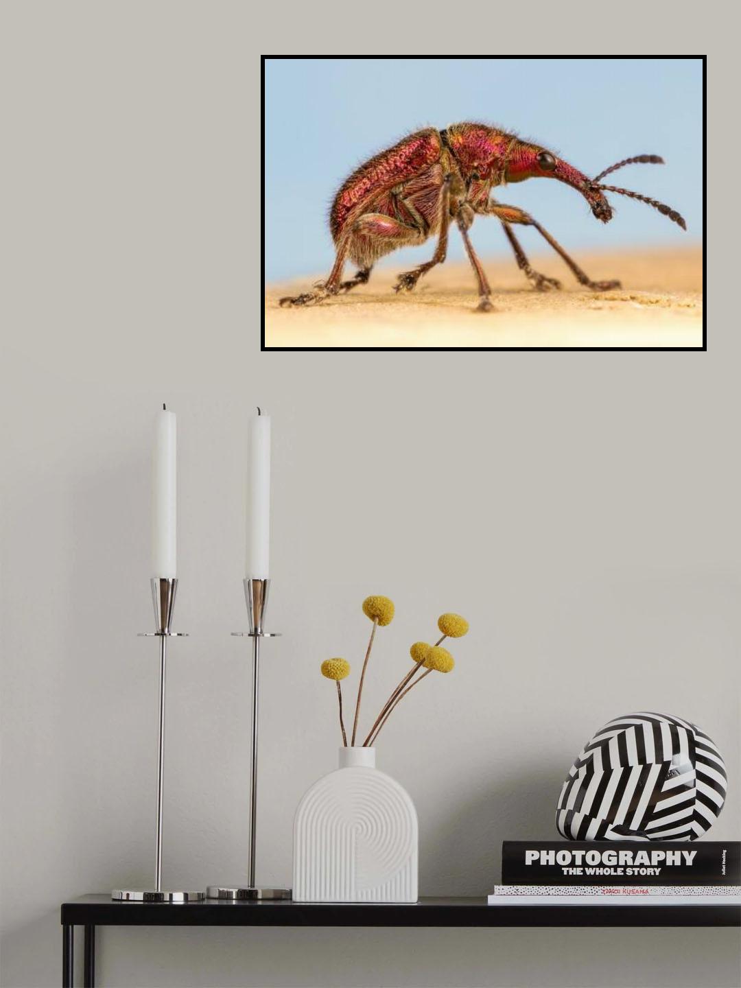 chrome red in nature Poster och Canvastavla