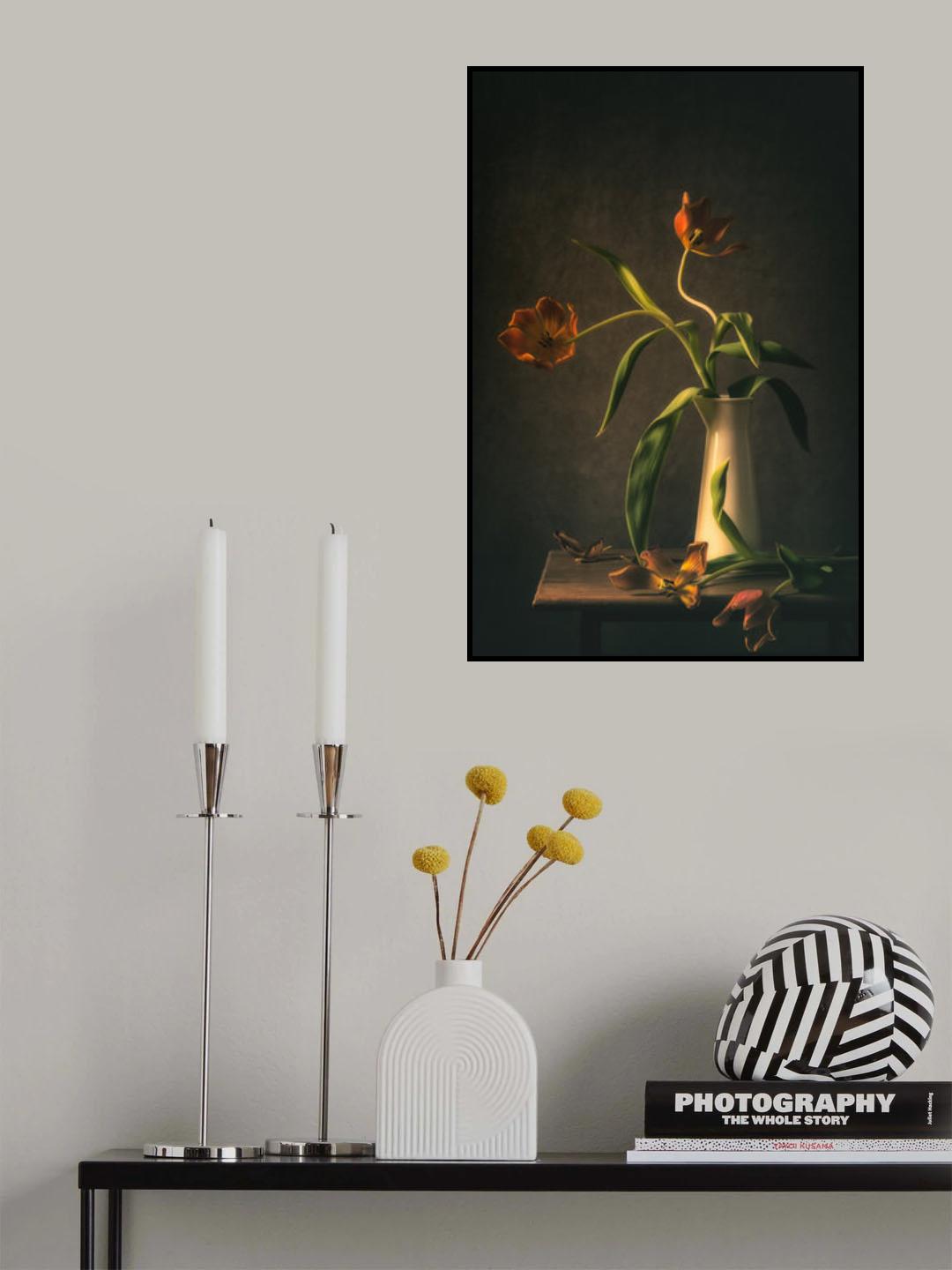 Wilted Tulips Poster och Canvastavla