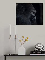 gorilla gaze Poster och Canvastavla
