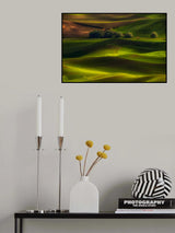 Spring in the Palouse Poster och Canvastavla
