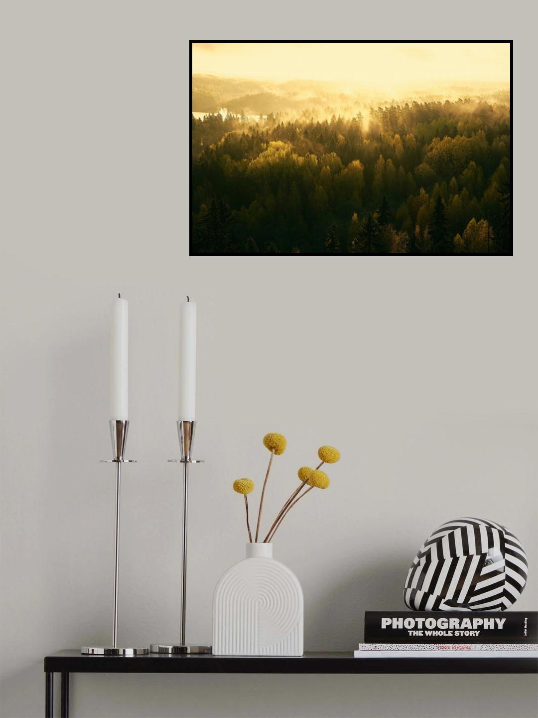 Fading mist Poster och Canvastavla