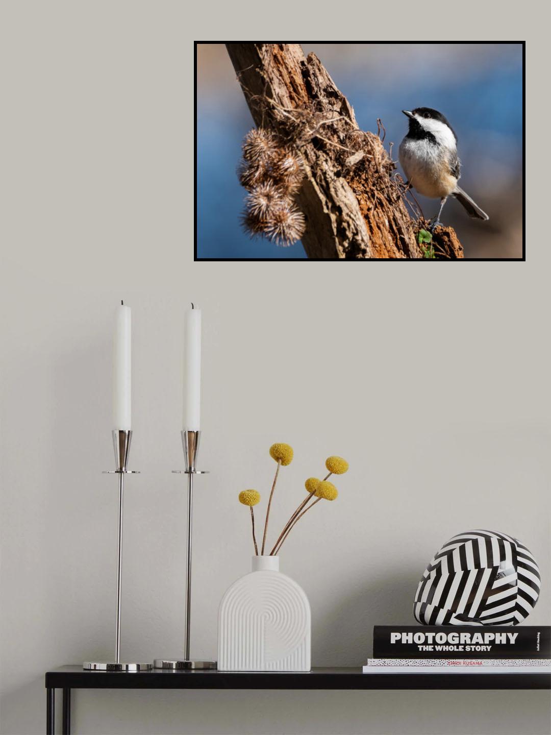 A Perch Fit For A Chickadee Poster och Canvastavla
