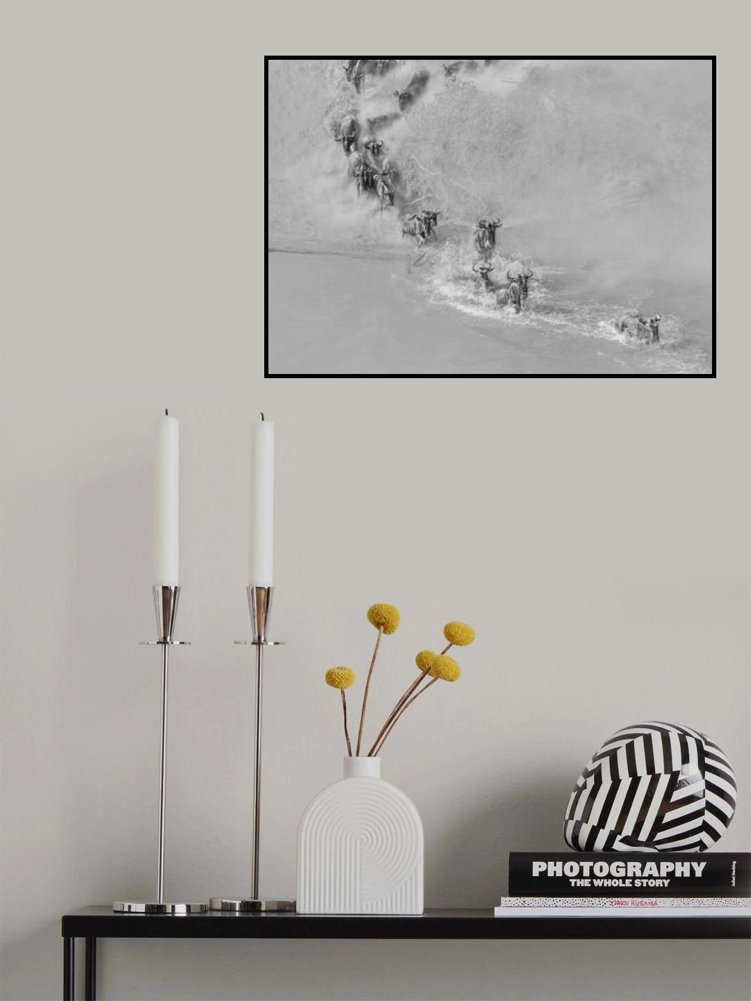 Crossing river ( wildbeest ) Poster och Canvastavla