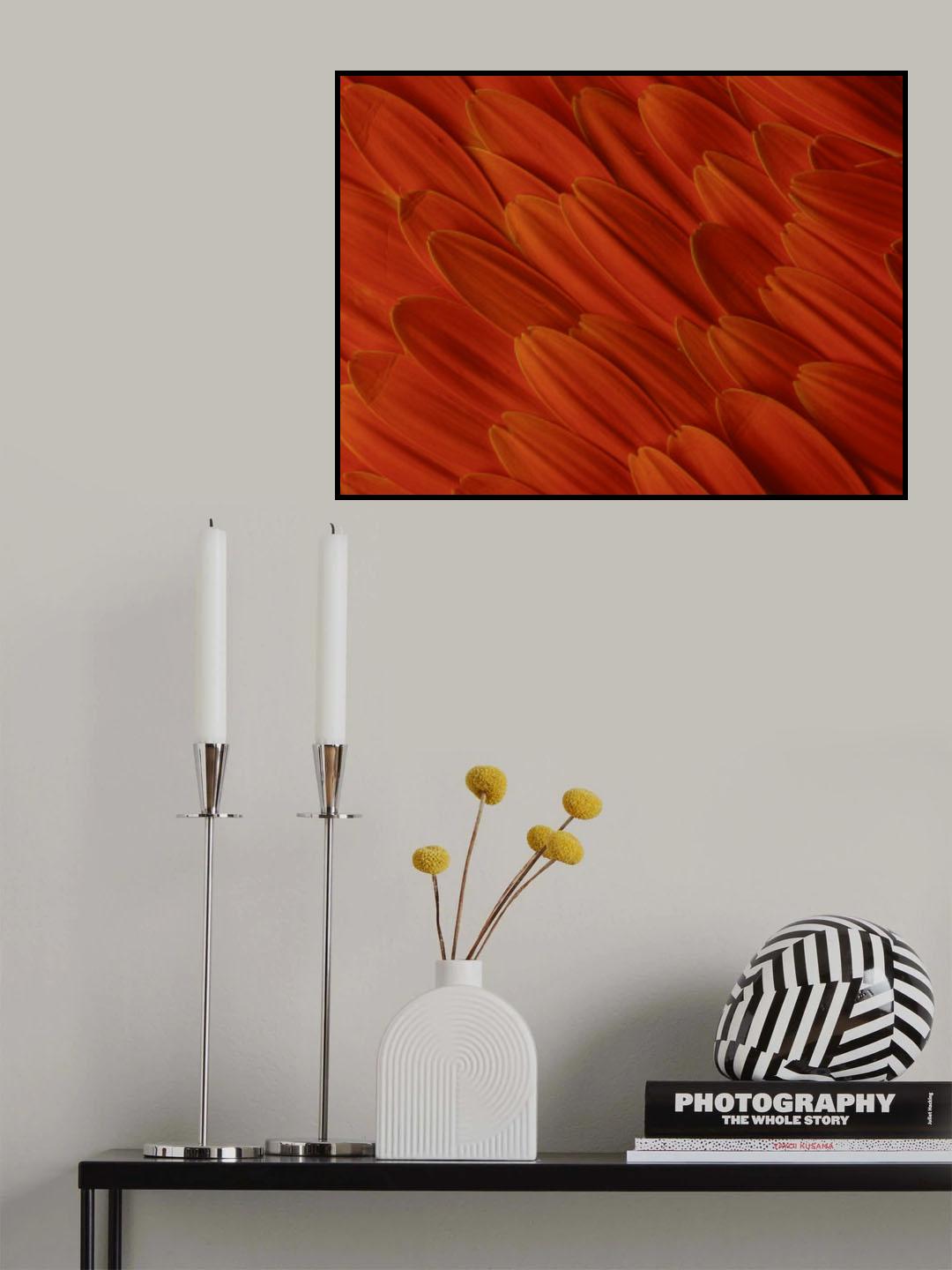 flower petals Poster och Canvastavla