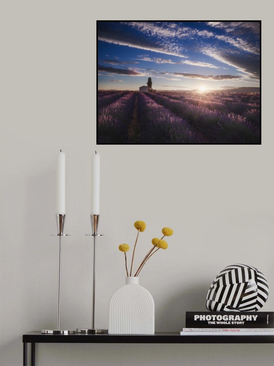 lavender sunrise Poster och Canvastavla