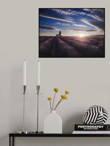 lavender sunrise Poster och Canvastavla