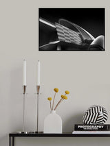 3 pearls Poster och Canvastavla