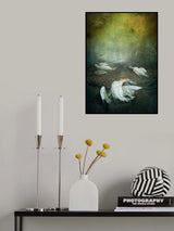 Herons Poster och Canvastavla