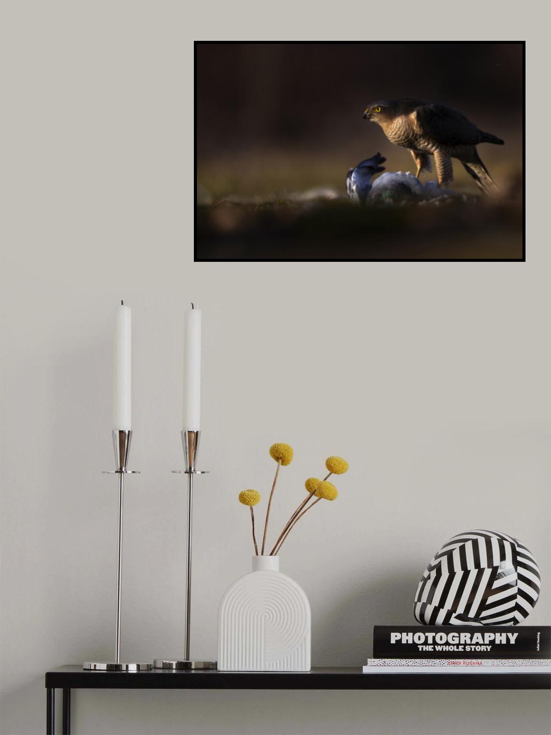 Eyes in the dark Poster och Canvastavla