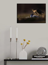 Eyes in the dark Poster och Canvastavla