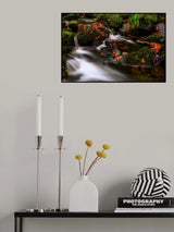Autumn Melodies Poster och Canvastavla
