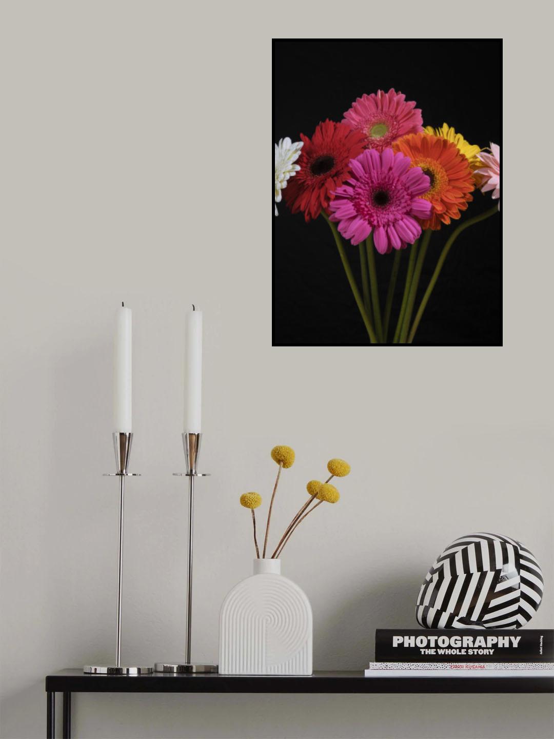 multicolored Gerbera flowers Poster och Canvastavla