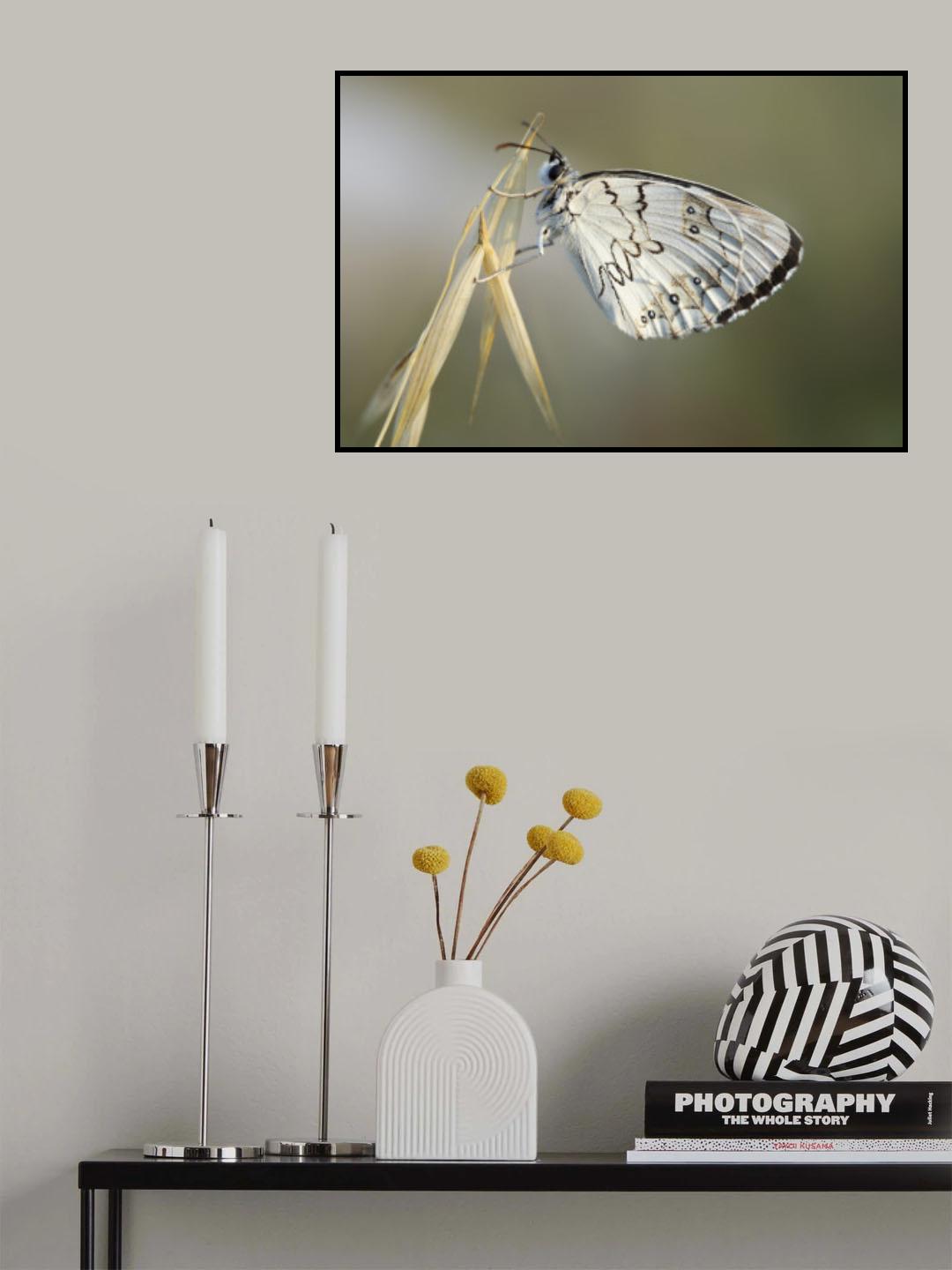 relaxing Poster och Canvastavla