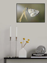relaxing Poster och Canvastavla