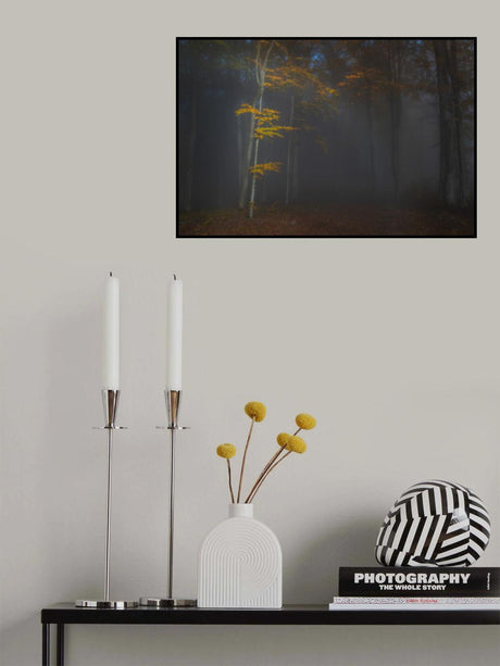 Autumn light Poster och Canvastavla