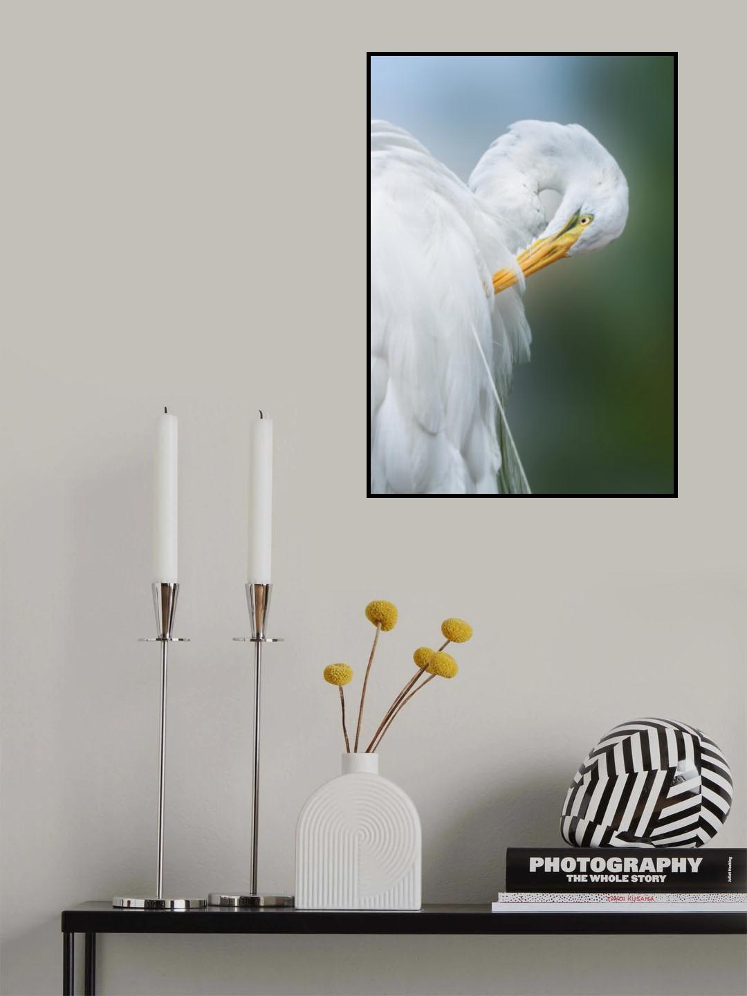 The White Beauty Poster och Canvastavla