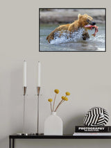 Fishing - Kamchatka, Russia Poster och Canvastavla